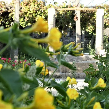 Don Armando Дом отдыха