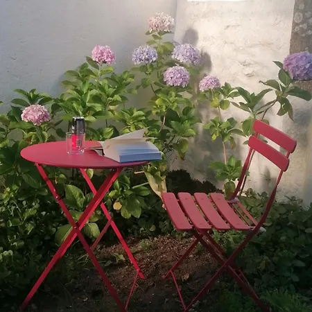 Nyaraló Don Armando *