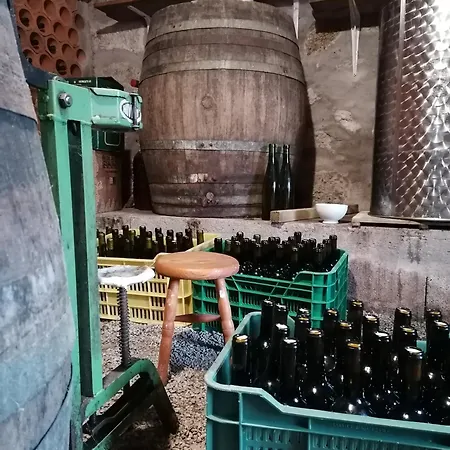 Don Armando Буэу