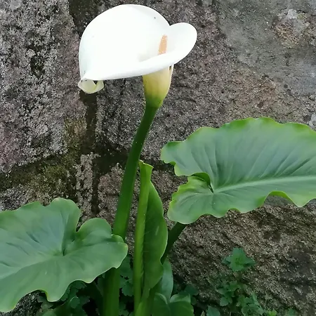 Дом отдыха Don Armando