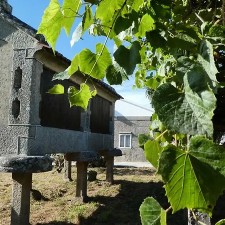 Don Armando * Буэу