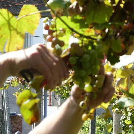 Дом отдыха Don Armando