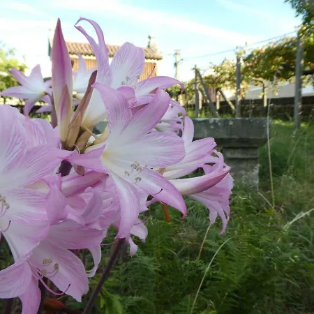 Don Armando Semesterbostad *