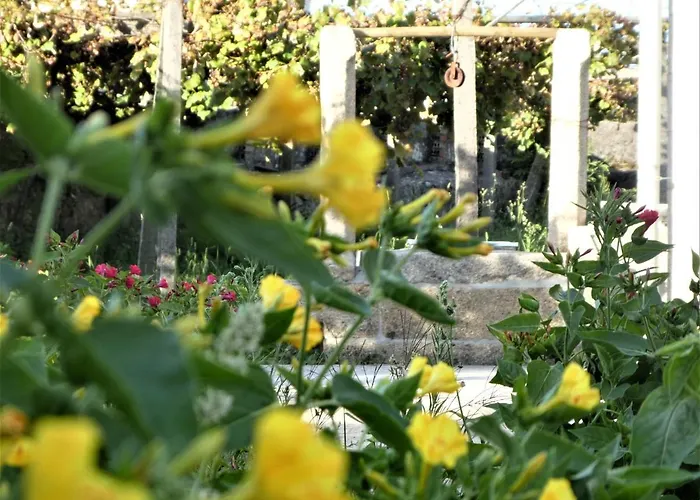 Don Armando Ferienhaus