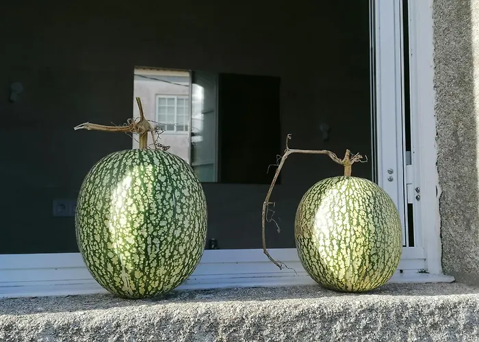 Don Armando Ferienhaus *