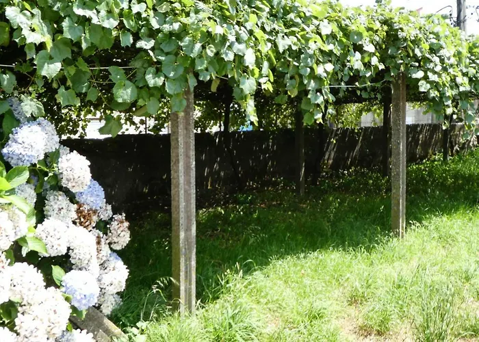 Ferienhaus Don Armando *