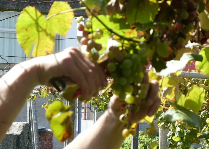 Ferienhaus Don Armando