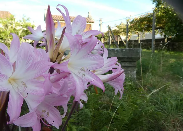 Don Armando Ferienhaus *